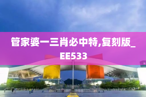 管家婆一三肖必中特,复刻版_EE533