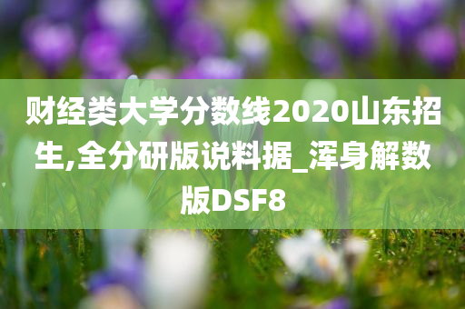 财经类大学分数线2020山东招生,全分研版说料据_浑身解数版DSF8