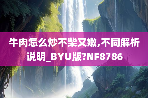 牛肉怎么炒不柴又嫩,不同解析说明_BYU版?NF8786