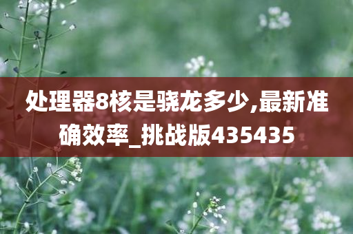 处理器8核是骁龙多少