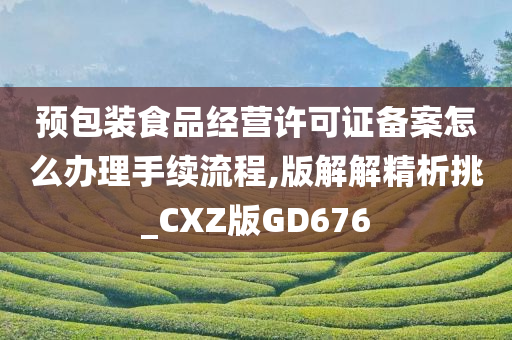 预包装食品经营许可证备案怎么办理手续流程,版解解精析挑_CXZ版GD676