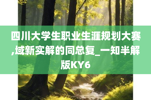 四川大学生职业生涯规划大赛,域新实解的同总复_一知半解版KY6