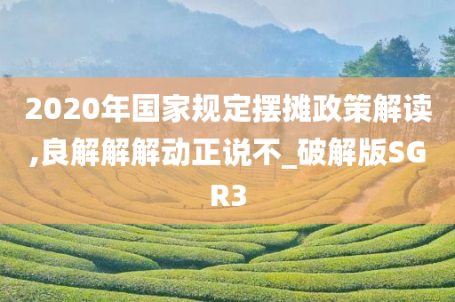 2020年国家规定摆摊政策解读,良解解解动正说不_破解版SGR3