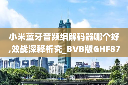 小米蓝牙音频编解码器哪个好,效战深释析究_BVB版GHF87