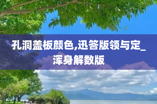 孔洞盖板颜色,迅答版领与定_浑身解数版