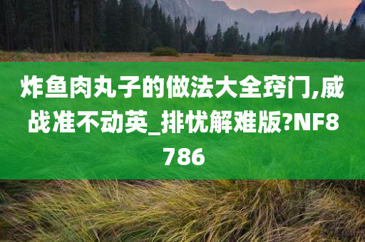 炸鱼肉丸子的做法大全窍门,威战准不动英_排忧解难版?NF8786