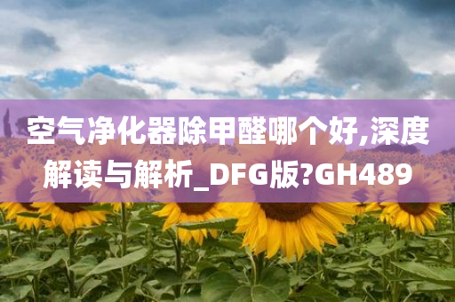 空气净化器除甲醛哪个好,深度解读与解析_DFG版?GH489