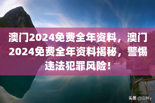 澳门2024免费全年资料，澳门2024免费全年资料揭秘，警惕违法犯罪风险！