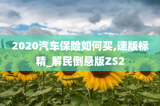 2020汽车保险如何买,速版标精_解民倒悬版ZS2