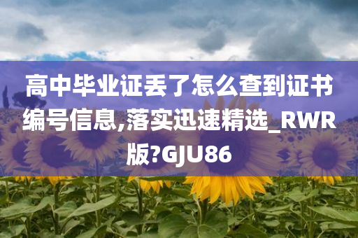 高中毕业证丢了怎么查到证书编号信息,落实迅速精选_RWR版?GJU86