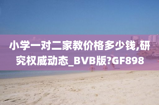 小学一对二家教价格多少钱,研究权威动态_BVB版?GF898