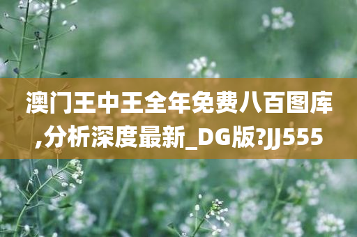 澳门王中王全年免费八百图库,分析深度最新_DG版?JJ555