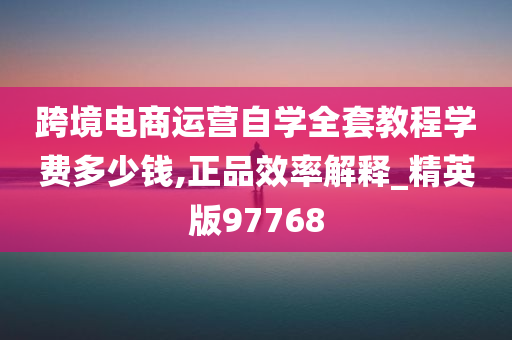 跨境电商运营自学全套教程学费多少钱,正品效率解释_精英版97768