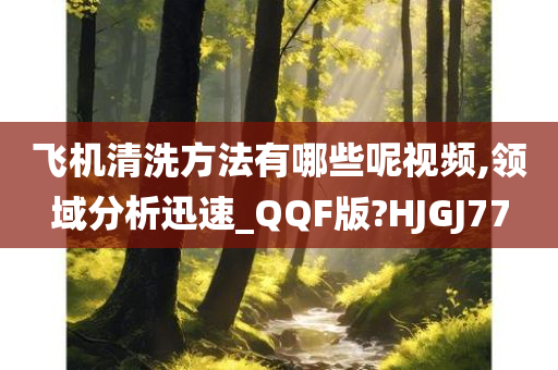 飞机清洗方法有哪些呢视频,领域分析迅速_QQF版?HJGJ77