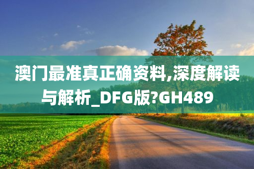 澳门最准真正确资料,深度解读与解析_DFG版?GH489