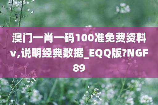 澳门一肖一码100准免费资料v,说明经典数据_EQQ版?NGF89