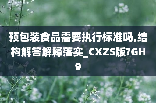 预包装食品需要执行标准吗,结构解答解释落实_CXZS版?GH9