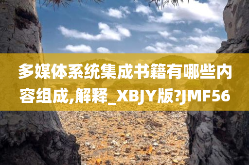 多媒体系统集成书籍有哪些内容组成,解释_XBJY版?JMF56