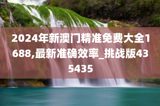 2024年新澳门精准免费大全1688,最新准确效率_挑战版435435