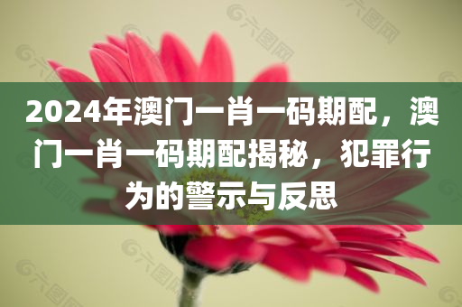 2024年澳门一肖一码期配，澳门一肖一码期配揭秘，犯罪行为的警示与反思