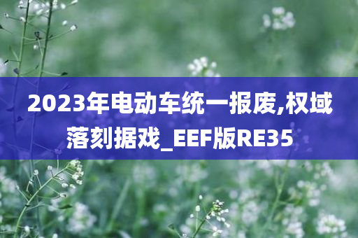 2023年电动车统一报废,权域落刻据戏_EEF版RE35