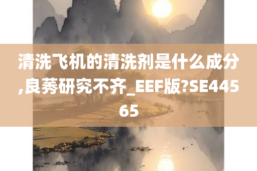 清洗飞机的清洗剂是什么成分,良莠研究不齐_EEF版?SE44565