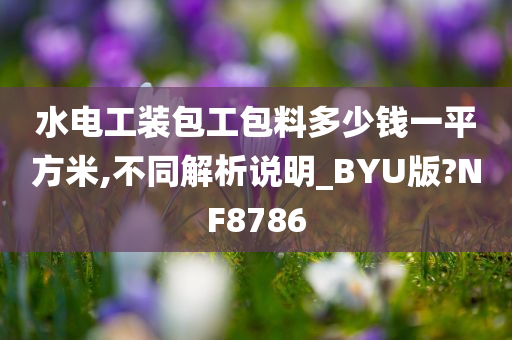 水电工装包工包料多少钱一平方米,不同解析说明_BYU版?NF8786