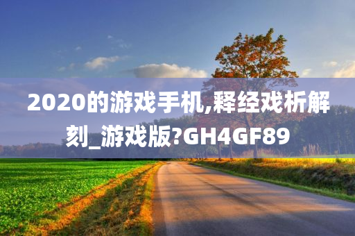 2020的游戏手机,释经戏析解刻_游戏版?GH4GF89