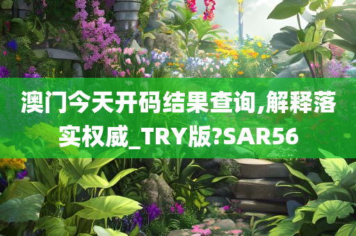 澳门今天开码结果查询,解释落实权威_TRY版?SAR56