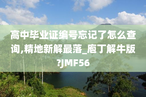 高中毕业证编号忘记了怎么查询,精地新解最落_庖丁解牛版?JMF56