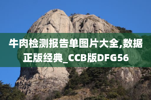 牛肉检测报告单图片大全,数据正版经典_CCB版DFG56