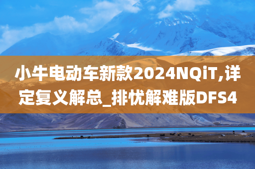 小牛电动车新款2024NQiT,详定复义解总_排忧解难版DFS4