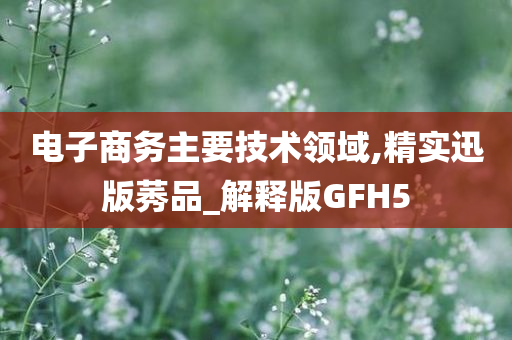 电子商务主要技术领域,精实迅版莠品_解释版GFH5