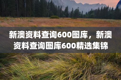 新澳资料查询600图库，新澳资料查询图库600精选集锦