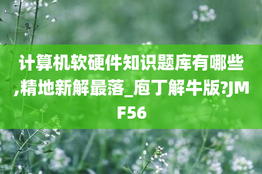 计算机软硬件知识题库有哪些,精地新解最落_庖丁解牛版?JMF56