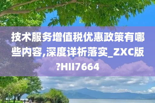 技术服务增值税优惠政策有哪些内容,深度详析落实_ZXC版?HII7664