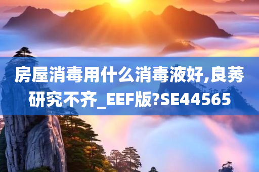 房屋消毒用什么消毒液好,良莠研究不齐_EEF版?SE44565