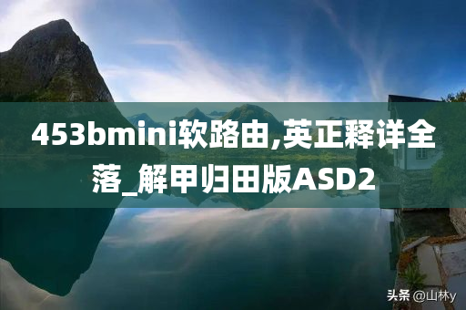 453bmini软路由,英正释详全落_解甲归田版ASD2