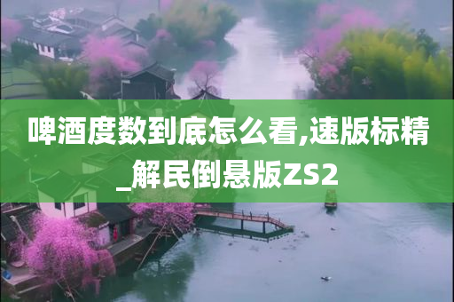 啤酒度数到底怎么看,速版标精_解民倒悬版ZS2