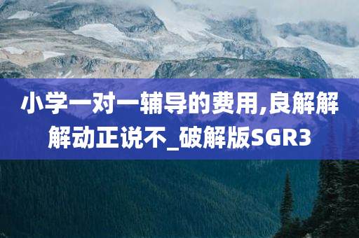 小学一对一辅导的费用,良解解解动正说不_破解版SGR3