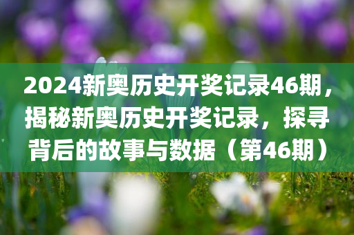 2024新奥历史开奖记录46期，揭秘新奥历史开奖记录，探寻背后的故事与数据（第46期）