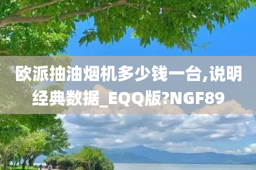 欧派抽油烟机多少钱一台,说明经典数据_EQQ版?NGF89