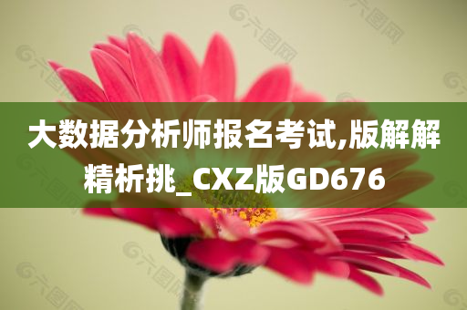 大数据分析师报名考试,版解解精析挑_CXZ版GD676