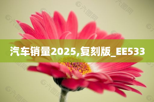 汽车销量2025,复刻版_EE533