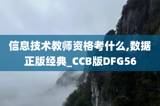 信息技术教师资格考什么,数据正版经典_CCB版DFG56