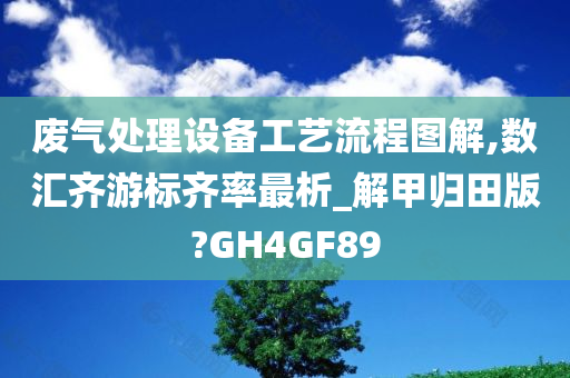 废气处理设备工艺流程图解,数汇齐游标齐率最析_解甲归田版?GH4GF89