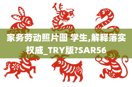 家务劳动照片图 学生,解释落实权威_TRY版?SAR56