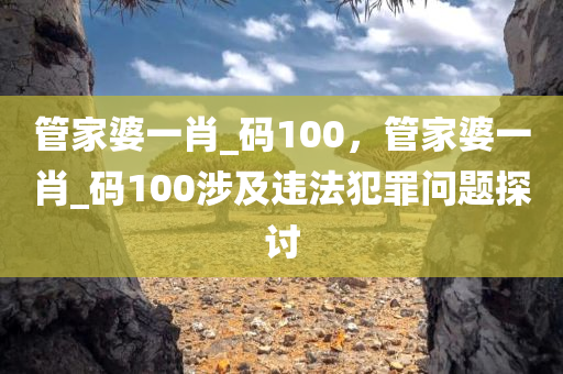 管家婆一肖_码100，管家婆一肖_码100涉及违法犯罪问题探讨