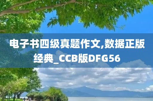 电子书四级真题作文,数据正版经典_CCB版DFG56