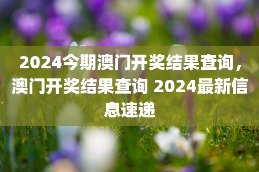 2024今期澳门开奖结果查询，澳门开奖结果查询 2024最新信息速递